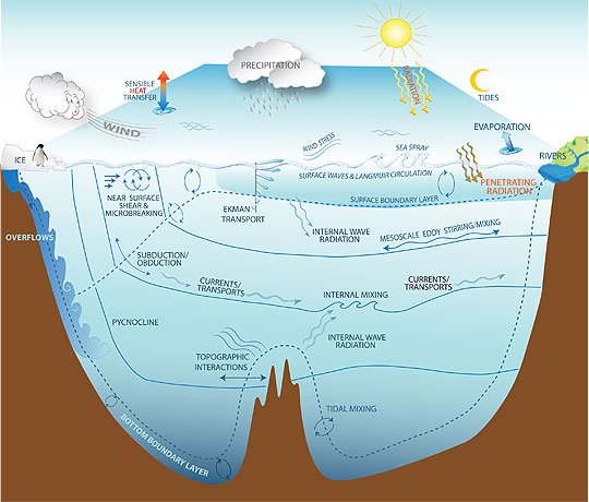 OceanProcSchem_sm